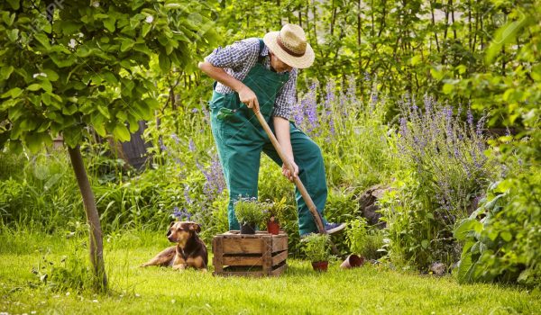 41765534-man-with-straw-hat-working-in-the-garden