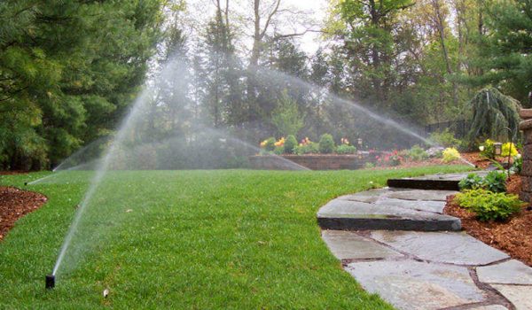 irrigation